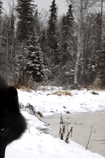 AQP2ijisQZG4mOyhqy5jo-RR-_Pk8Ev5i-yi6yuhhuQPbezR_8Aw2xBrVQJdF8sY34ad4nw-VW_suksOcEOl-jDUVjhSkqAWcAjIQoKxD0DYZA_1